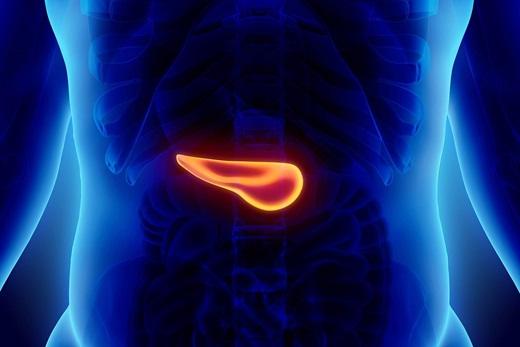 Scan of the abdomen and pancreas, 显示推荐十大正规网赌平台在身体的哪个部位会出现胰腺癌症状